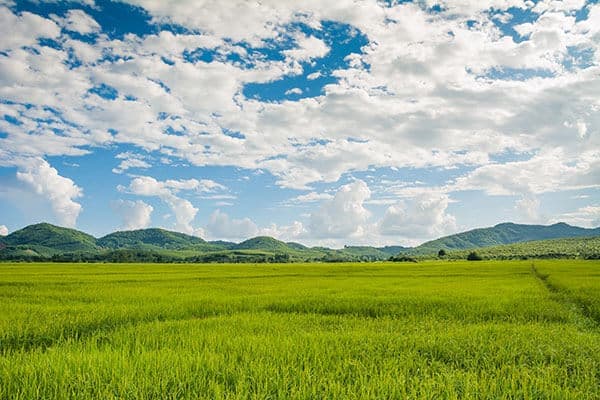 Scenic Countryside Acreage